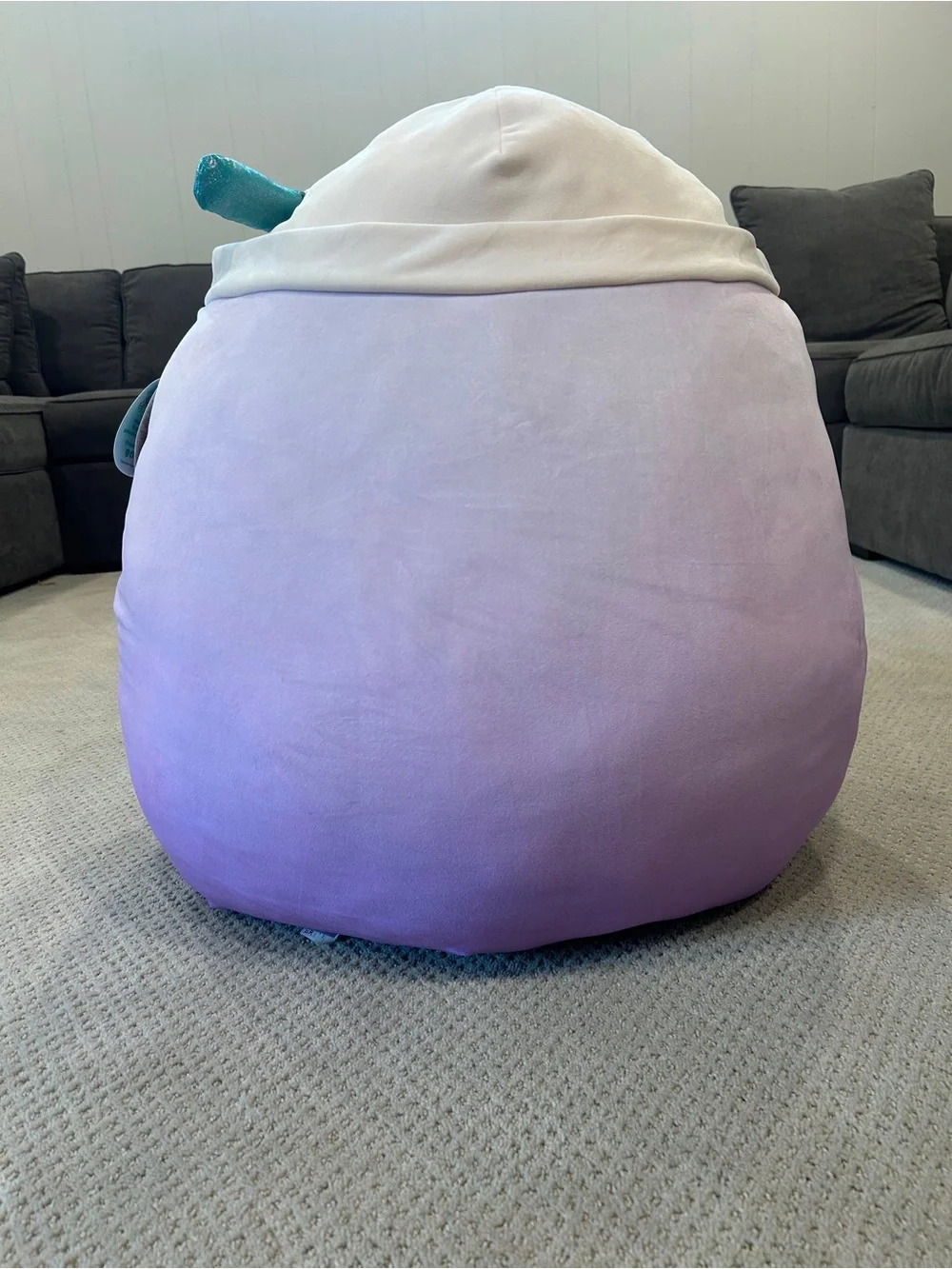 Squishmallows lightly used